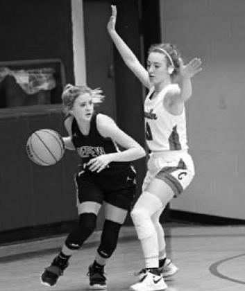 Depew Hornets and Lady Hornets play ball
