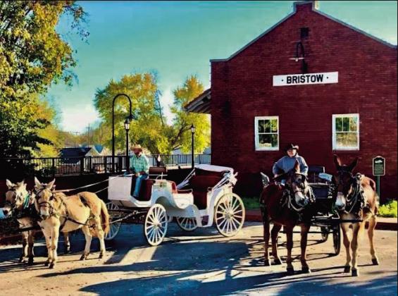 Ryan McDougal, left, and Steve Lamberson of Sweet Dreams Carriage Rides.