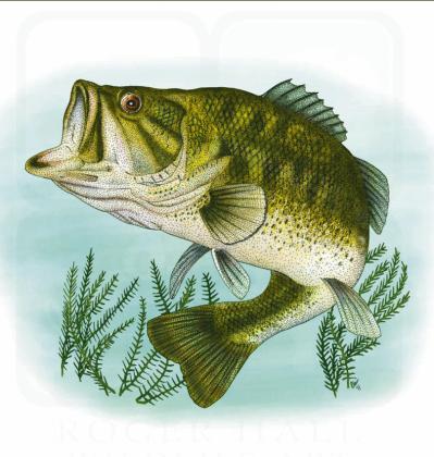 Oklahoma Department of Wildlife Conservation fishing report