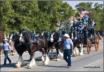courtesy photo Express Clydesdales and the stage coach.