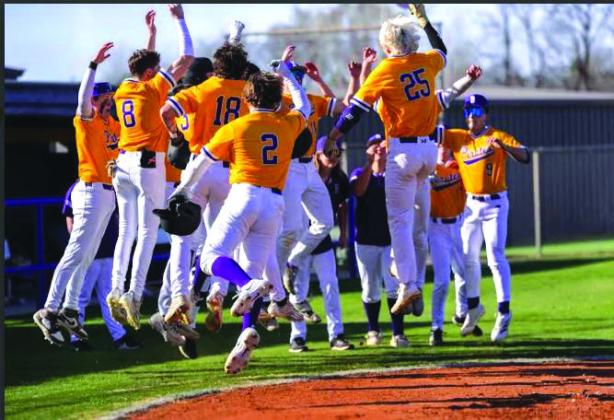 Pirate Baseball
