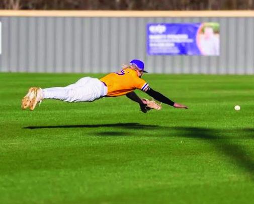 Pirate Baseball