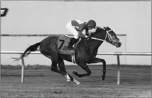 Run Slewpy Run, owner Mike Jones of Bristow, wins the race a second straight year on Oklahoma Classics Night, Friday, Oct. 21 at Remington Park. courtesy photo