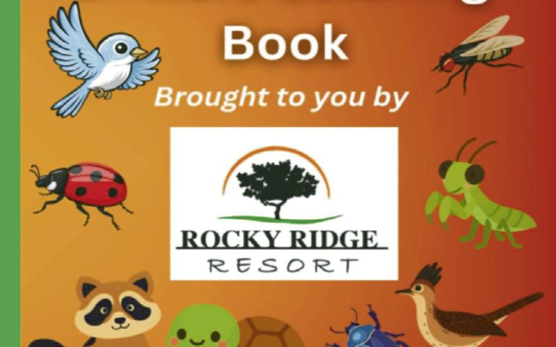 Locally crafted coloring books are provided for guests