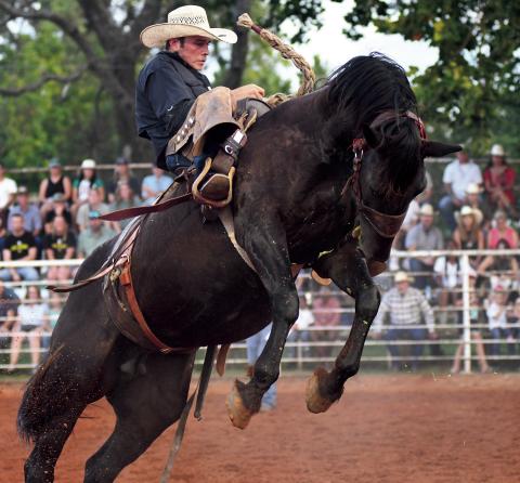 Maverick Parker won the ranch bronc riding with a score of 75 at the Chandler Open Rodeo Friday night. Brian Blansett photo