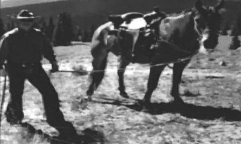 Allen George Baker, 1931 - 2021