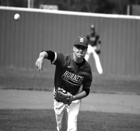 Hornets vs Davenport
