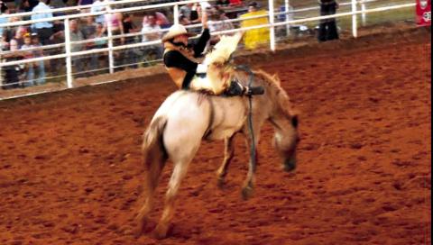 Bareback riding at the Western Heritage Days Rodeo. courtesy photos