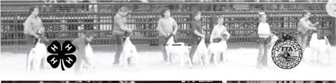 Creek County Livestock Show 2023
