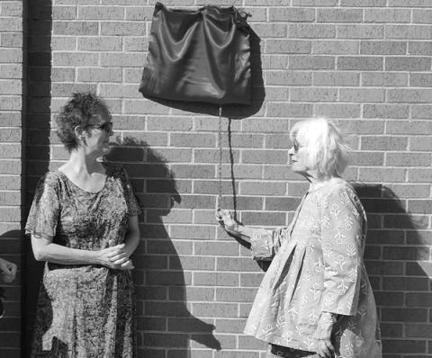 Debbie Tribble photo