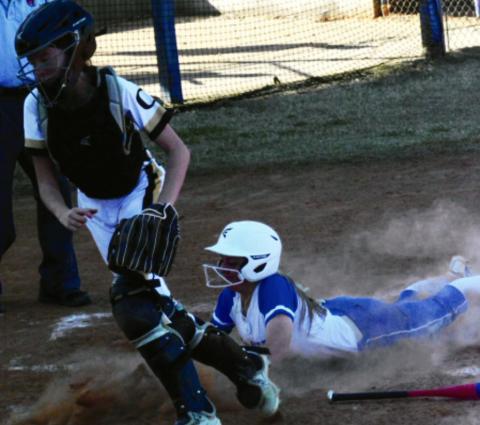 Lady Hornets play ball