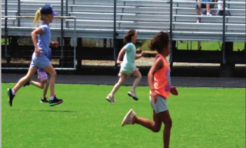 Edison and Collins Little Olympics