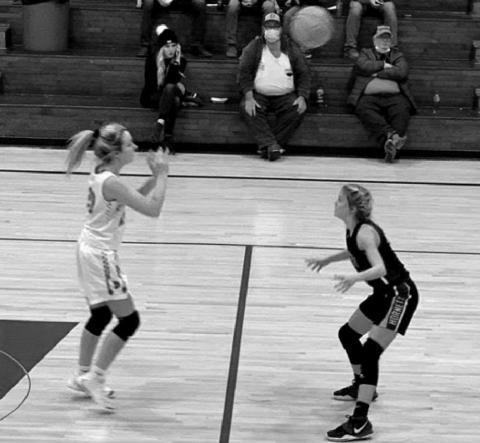 Depew Hornets and Lady Hornets play ball